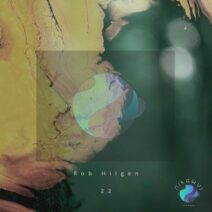 Rob Hilgen - 22 [Nikawyi Records]