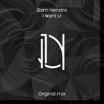 Sam Hendrix - I Want You [Late Nite Recordings]