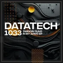 Swingin Suns - In My Arms EP [DataTech]