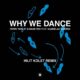 Terry Farley, Wade Teo, Kameelah Waheed - Why We Dance (Hilit Kolet Remix) [Rekids]