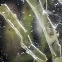 Theus Mago - Eclipse [Correspondant Records]