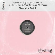 VA - Diversity EP Part 2 [Ohral]