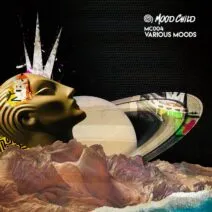 VA - Various Moods [Mood Child]