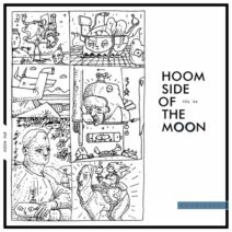 Various Artists - Hoom Side of the Moon, Vol. 04 [Hoomidaas]