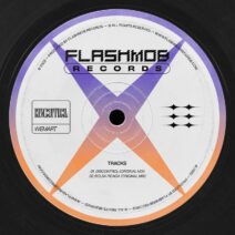 WeMart - Discontrol [Flashmob Records]