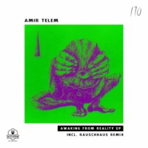 Amir Telem - Awaking From Reality [Kitchen Recordings]