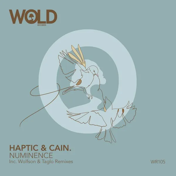 Haptic, CAIN. – Numinence
