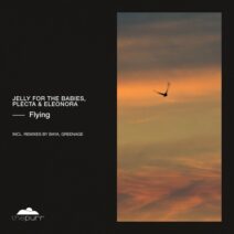 Jelly For The Babies, Eleonora, Plecta - Flying [The Purr]