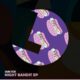 Sam Sick - Night Bandit EP [Loulou Records]
