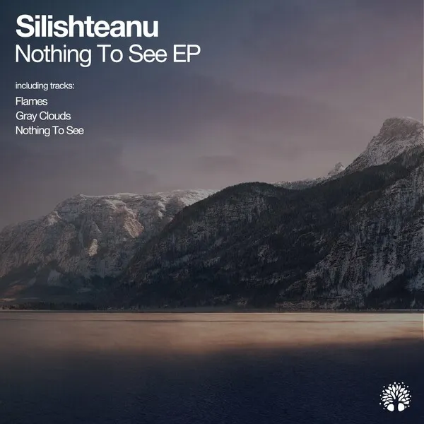 Silishteanu – Nothing to See