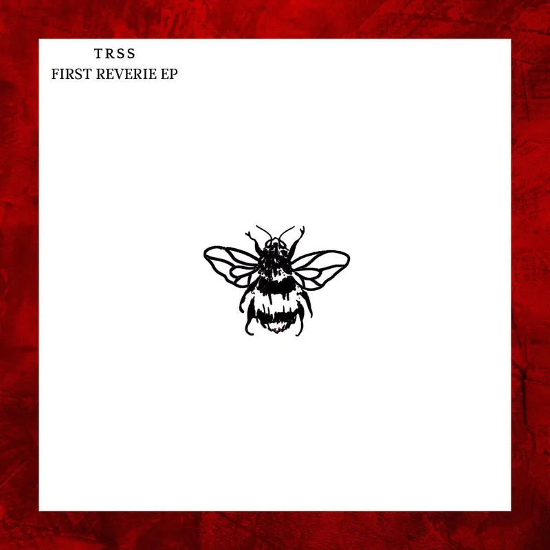 TRSS - First Reverie EP [Not So Serious Deep]