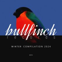 Various Artists - Bullfinch Winter 2024 Compilation [Bullfinch]