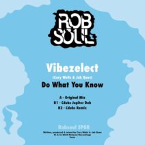 Vibezelect, Jah Ques, Cory Wells - Do What You Know [Robsoul]