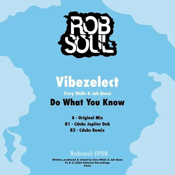 Vibezelect, Jah Ques, Cory Wells - Do What You Know [Robsoul]