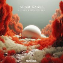 Adam Kaase - Hidden Frequencies [Terranova]
