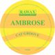 Ambrose - Cat Groove [Rawax]