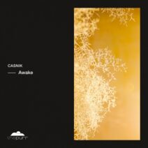 Casnik - Awake [The Purr]