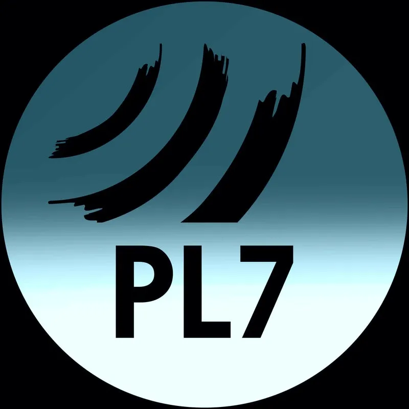 DJRAAN - You Got This Extended Mix [PL7]