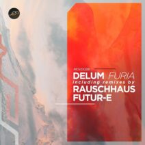 Delum - Furia [Movement Recordings]