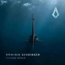 Dominik Gehringer - Strange World [Purified Records]