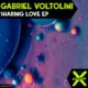 Gabriel Voltolini - Sharing Love [Incorrect Groove]