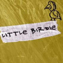 Galoop, Pulga (UY) - Little Birdie [Sticker Music]