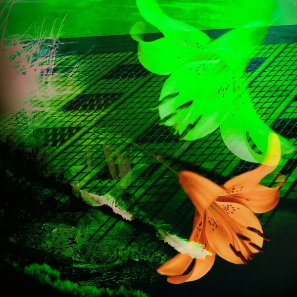 Giorgio Robles - Kofi Eleven [Aquarians]