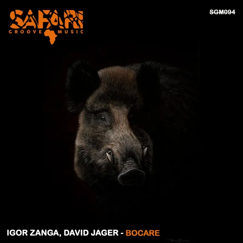 Igor Zanga, David Jager - Bocare [Safari Groove Music]