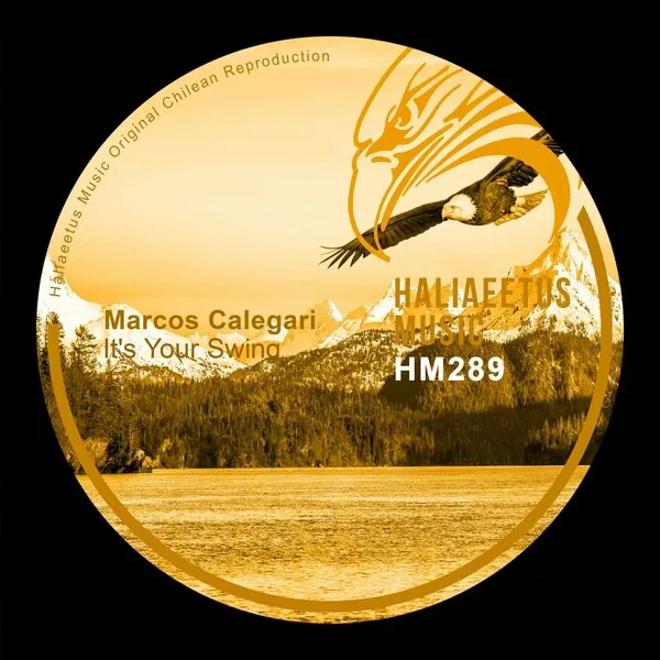 Marcos Calegari – It’s Your Swing