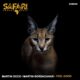 Martin Occo, Martin Bordacahar - Feel Good [Safari Groove Music]
