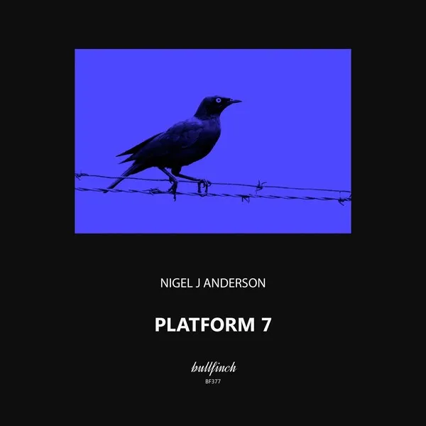 Nigel J Anderson - Platform 7 [Bullfinch]