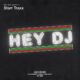 Riva Starr, Starr Traxx - Hey DJ [Snatch! Records]