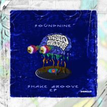 Soundnine - Shake Groove [Disco Groove Rec]