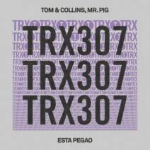 Tom & Collins, Mr. Pig - Esta Pegao [Toolroom Trax]