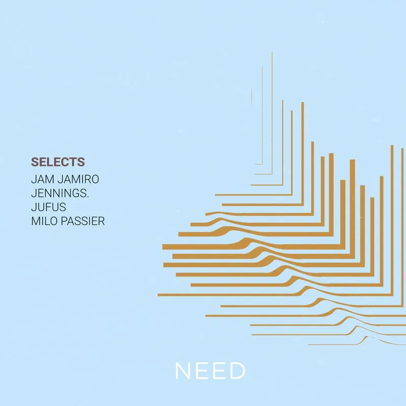 VA - Selects 2024 [NEED]