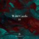 Various Artists - Wild Cards 21 [Pursuit]
