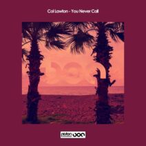 col lawton - You Never Call [Piston Recordings ]