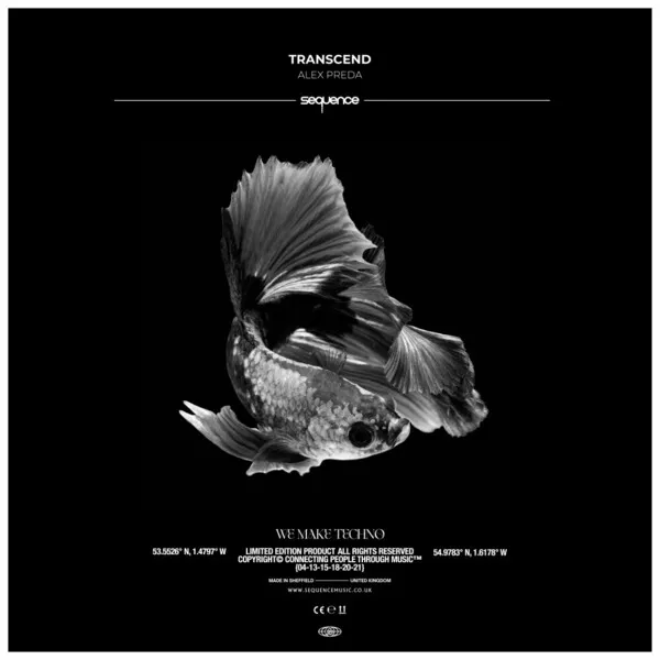 Alex Preda, Jessica Zese – Transcend