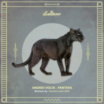 Andres Volta - Pantera [Dialtone Records]
