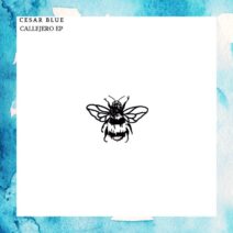 Cesar Blue - Callejero EP [Not So Serious Deep]