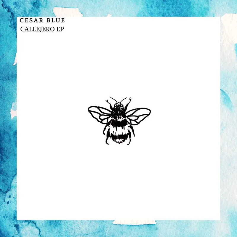 Cesar Blue - Callejero EP [Not So Serious Deep]