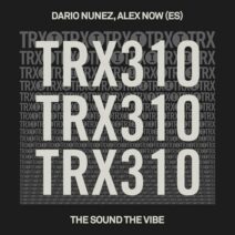 Dario Nunez, Alex Now (ES) - The Sound The Vibe [Toolroom Trax]