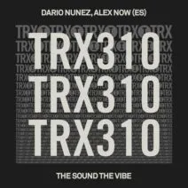 Dario Nunez, Alex Now (ES) - The Sound The Vibe [Toolroom Trax]