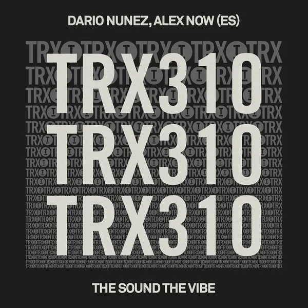 Dario Nunez, Alex Now (ES) - The Sound The Vibe [Toolroom Trax]