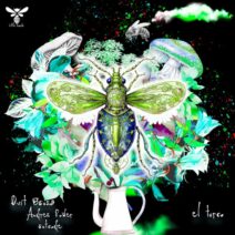 Dvit Bousa, Andres Power, Outcode - El Turco [Little Insects]