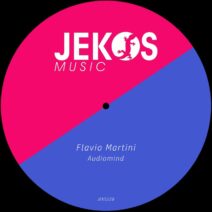 Flavio Martini - Audiomind [Jekos Music]