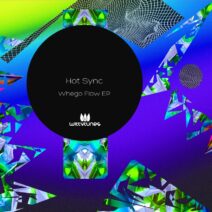 Hot Sync - Whego Flow EP [Witty Tunes]