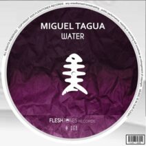 Miguel Tagua - Water [Fleshtones]