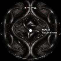 Monetic - Roadside Picnic [Inwave]