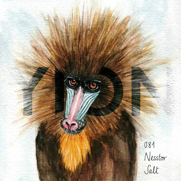 Nesstor – Salt